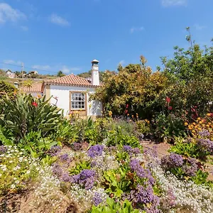 https://el-sitio-la-rosa.in-canary-islands.com